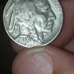Buffalo Nickel