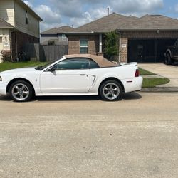 2000 Ford Mustang standard