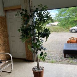 Artificial Tree $10