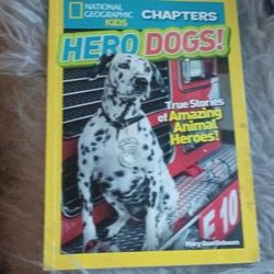 Hero Dogs!
