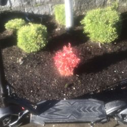 2023 Kaabo Mantis 10 v2