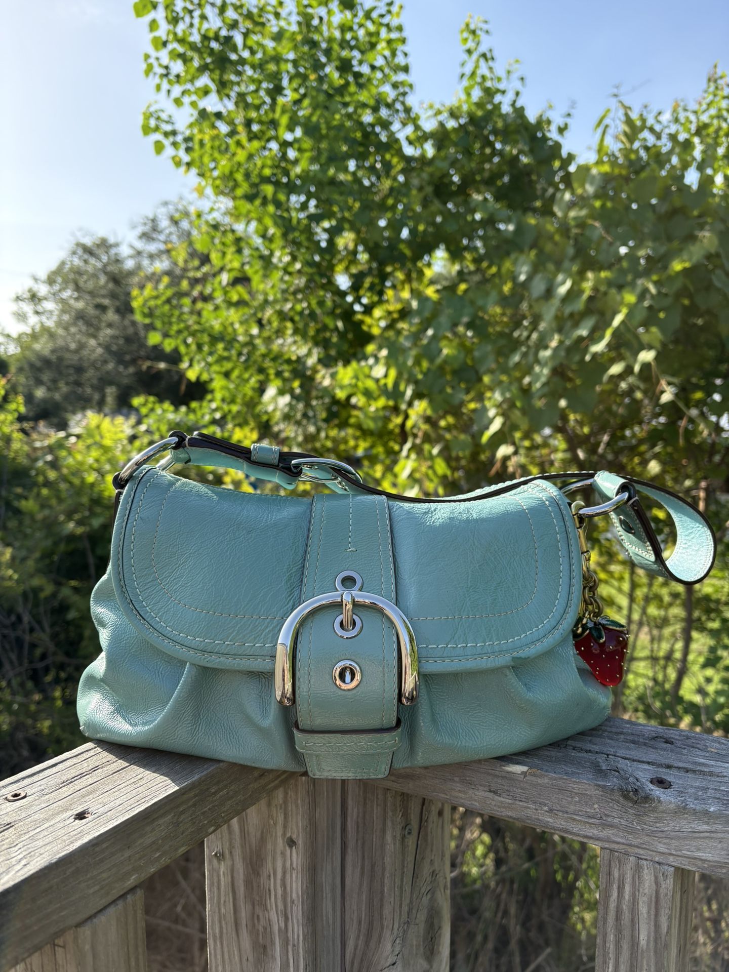 coach hobo bag