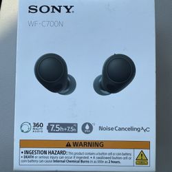 Sony Noise Cancelling in Ear Headphones