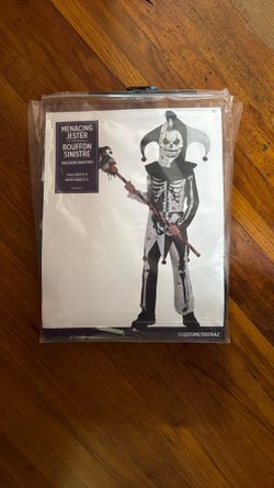 Child Jester Costume 