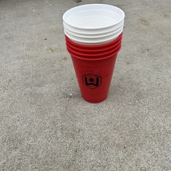 Giant Flip Cup