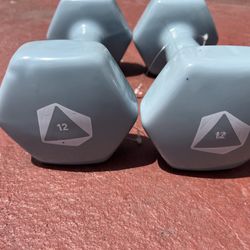 12.lbs Dumbbell Set