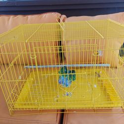 Bird Cage 