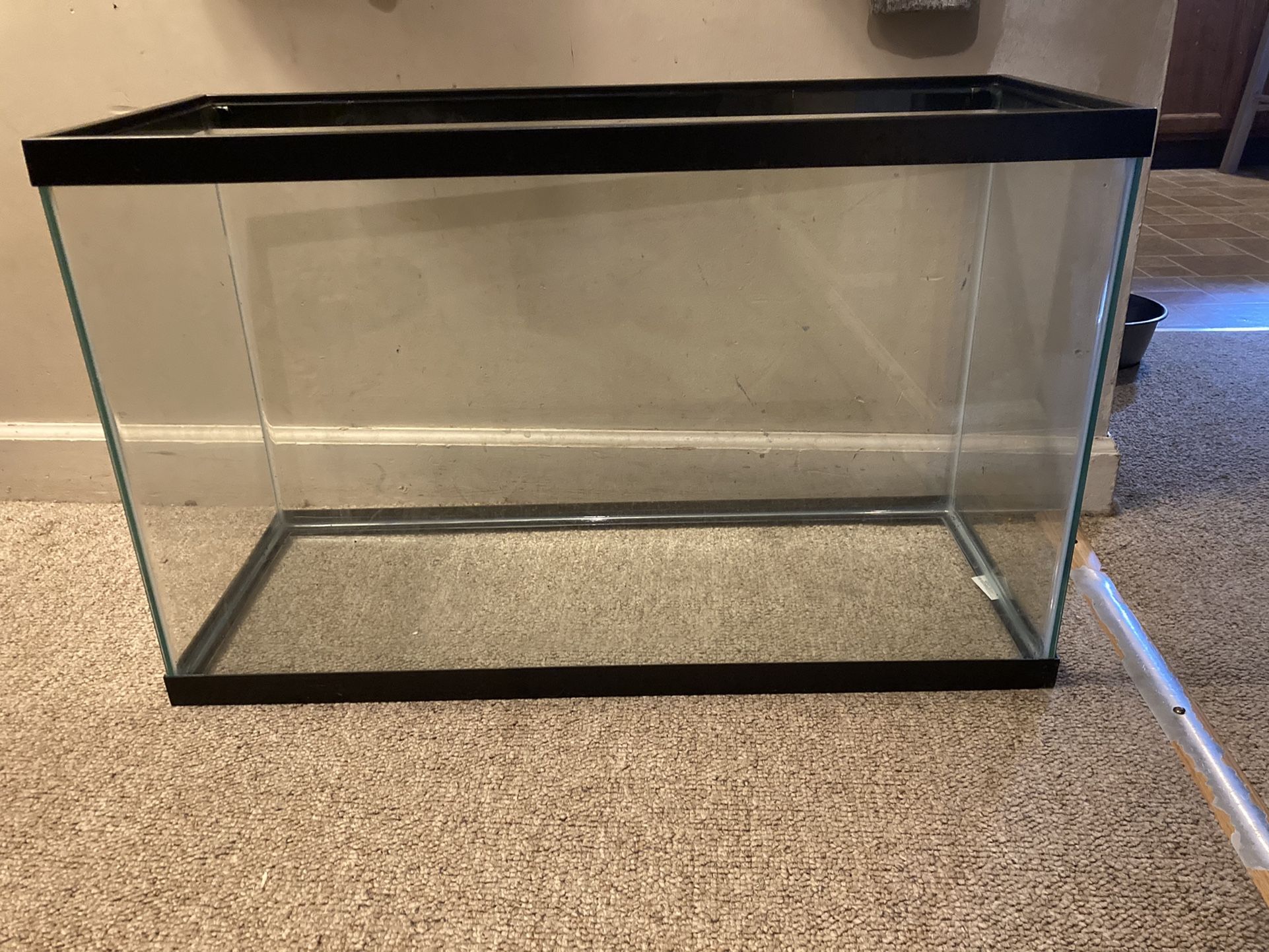 29 Gallon Fish Tank
