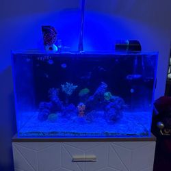 Pecera De 30gl Con Mueble E Instrumentos 