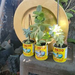 Centros De Mesa Estilo Mexicano  Para FiestaSon 10 X