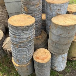Palm Tree Logs/ Plant Stands