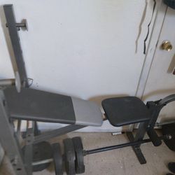 Weight Bench And Weights 