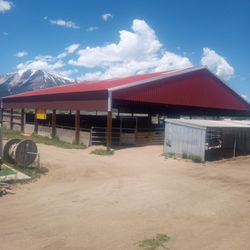 Horse Boarding Washoe Valley 