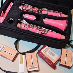 Pink Clarinet Mendini By Cecilio W Case Look Great/not Sure It Is Complete ?