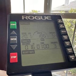 Rogue-Echo-Bike-2.0