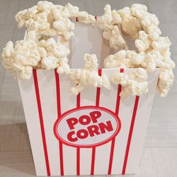 Halloween Costume - Handmade Popcorn Costume 