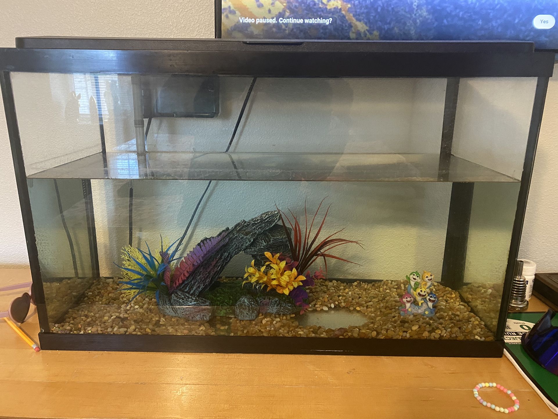 15 Gallon Fish Tang 