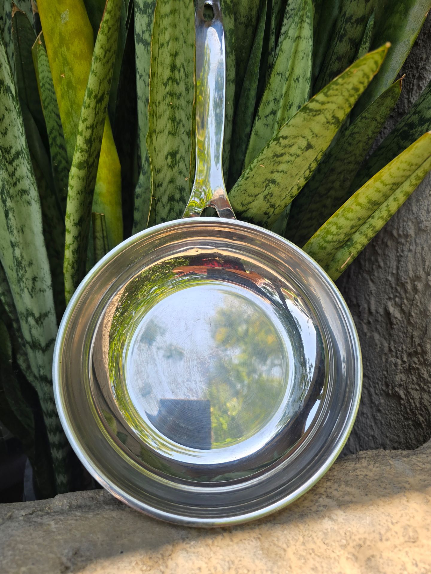 Stainless Steel 8 Inch Fry Pan Skillet, Dansk International Designs Ltd