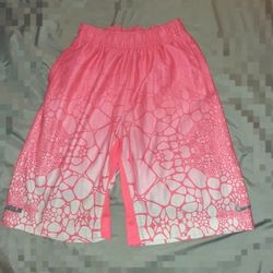 Nike LeBron Tamed Allover Print Basketball Shorts 