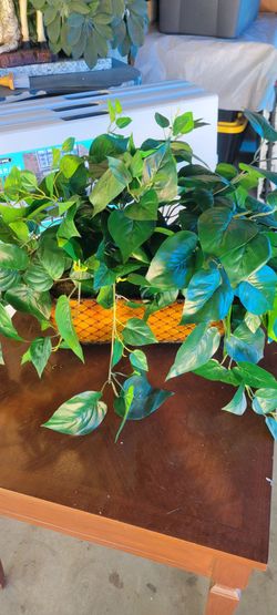 Artificial plants