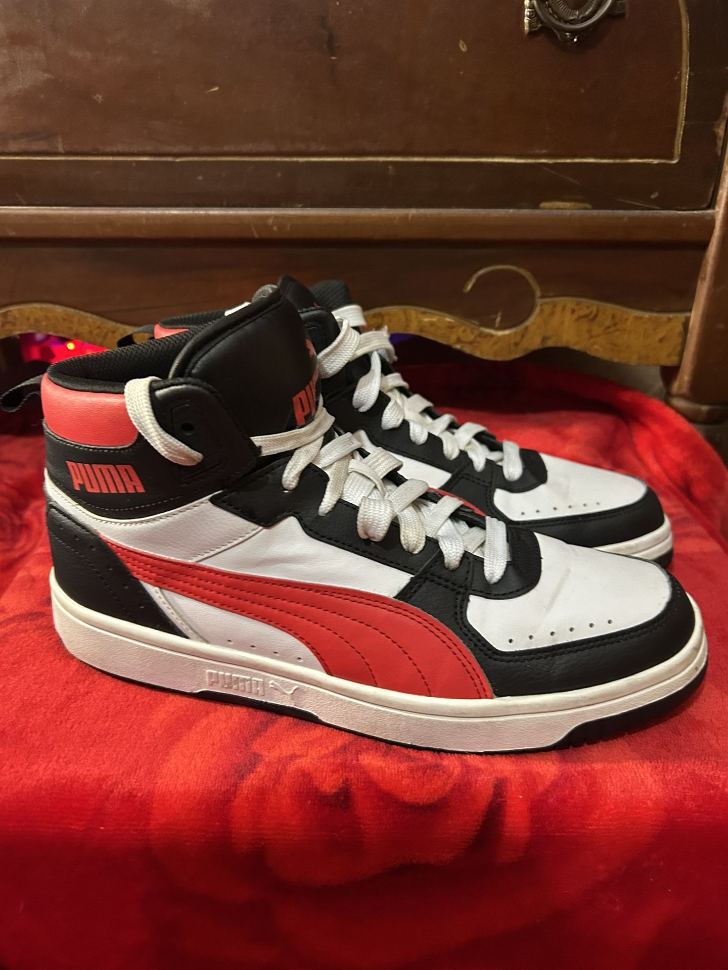 Puma