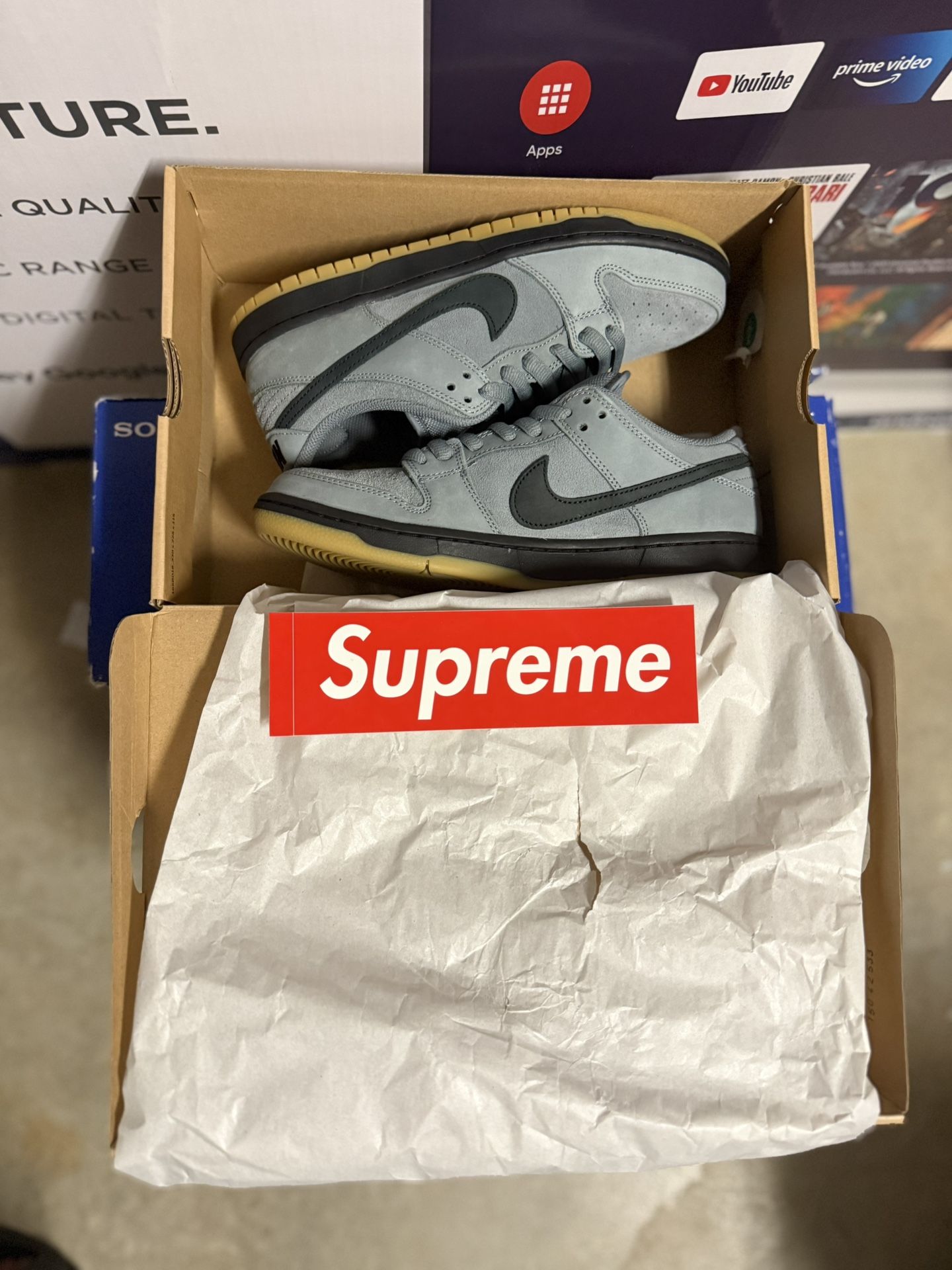 Nike Dunk SB Cool Grey