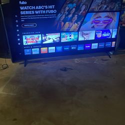 65 inch Vizio Flat Screen
