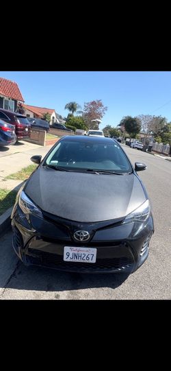 2019 Toyota Corolla