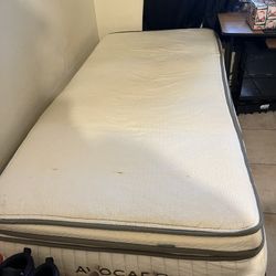 XL AVOCADO MATTRESS 