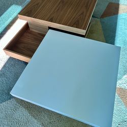 Coffee table and TV stand Combo