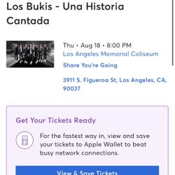 Bukis Concert