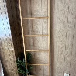 Ladder Home Decor