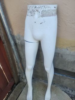 Male Mannequin 