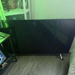 55 Inch TV