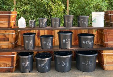Nursery Pots ~ For Pickup in Davis