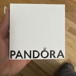Pandora necklace 
