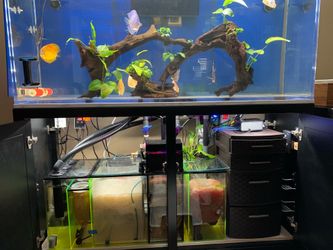 Custom 150 Gallon Acrylic Aquarium Setup – 60x18x26 Tank, Steel Stand, Sump, Vectra M2 Pump