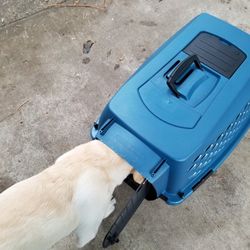 Dog Crate X2