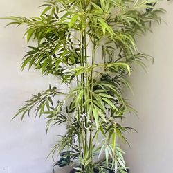 Faux Bamboo Plant, Black Polyresin Pot,