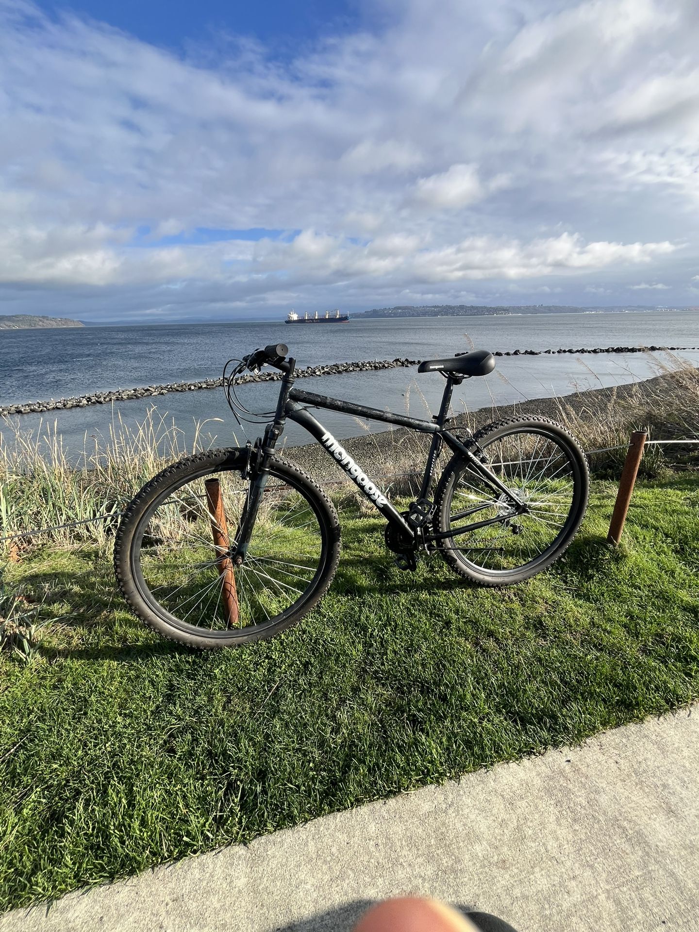 29” Mongoose Hardtail Mt Bike 