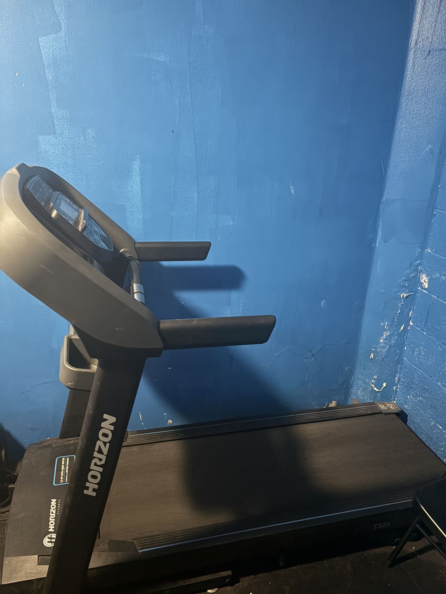 Horizon Treadmill