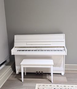New White Young Chang upright Piano with Storage Bench: $1,500 OBO - Must go by Sept. 26