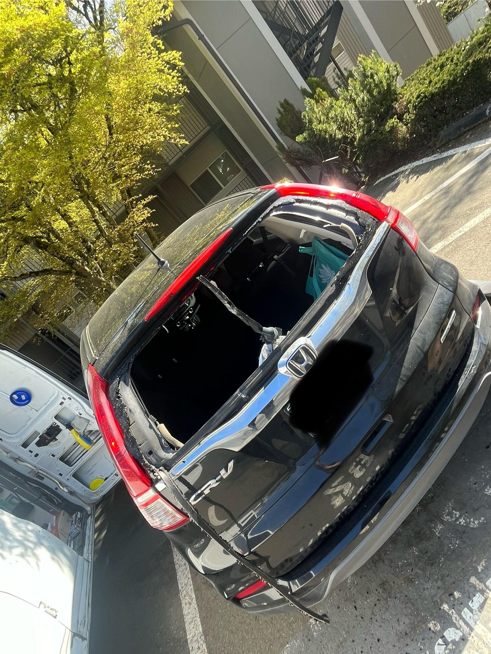 Honda Crv Back Glass Windshield 
