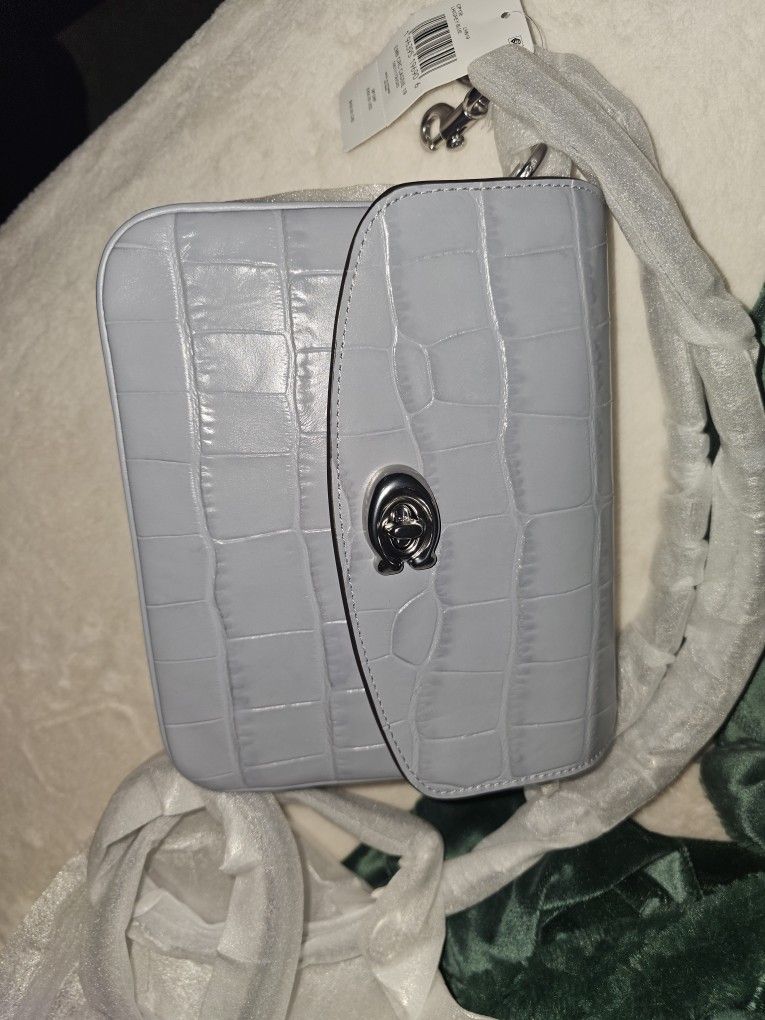 Coach Women's Embossed Croc Cassie Crossbody 19 Bag