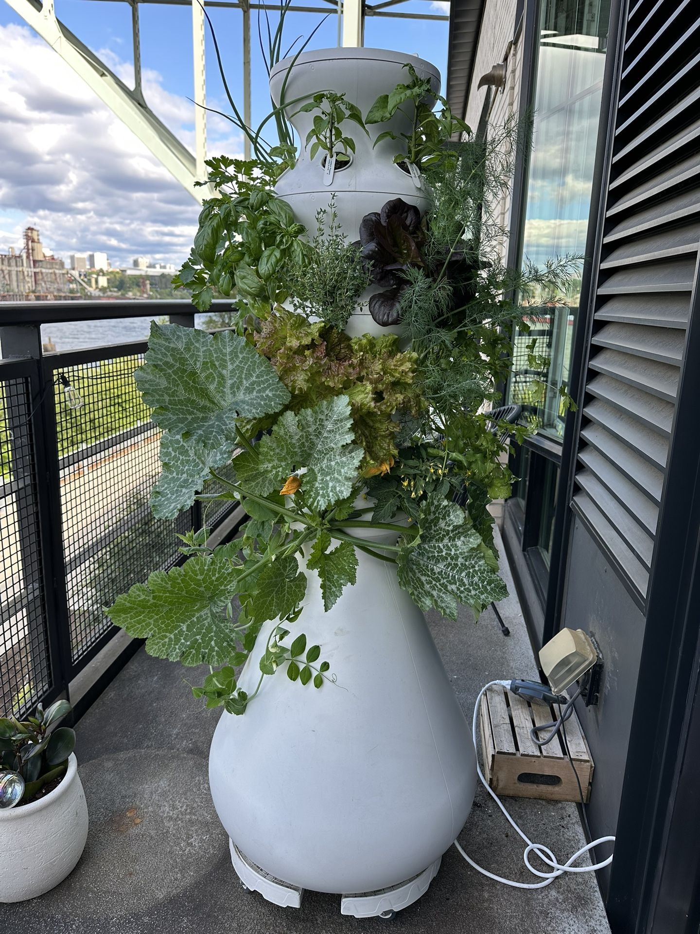 Outdoor Hydroponic Garden