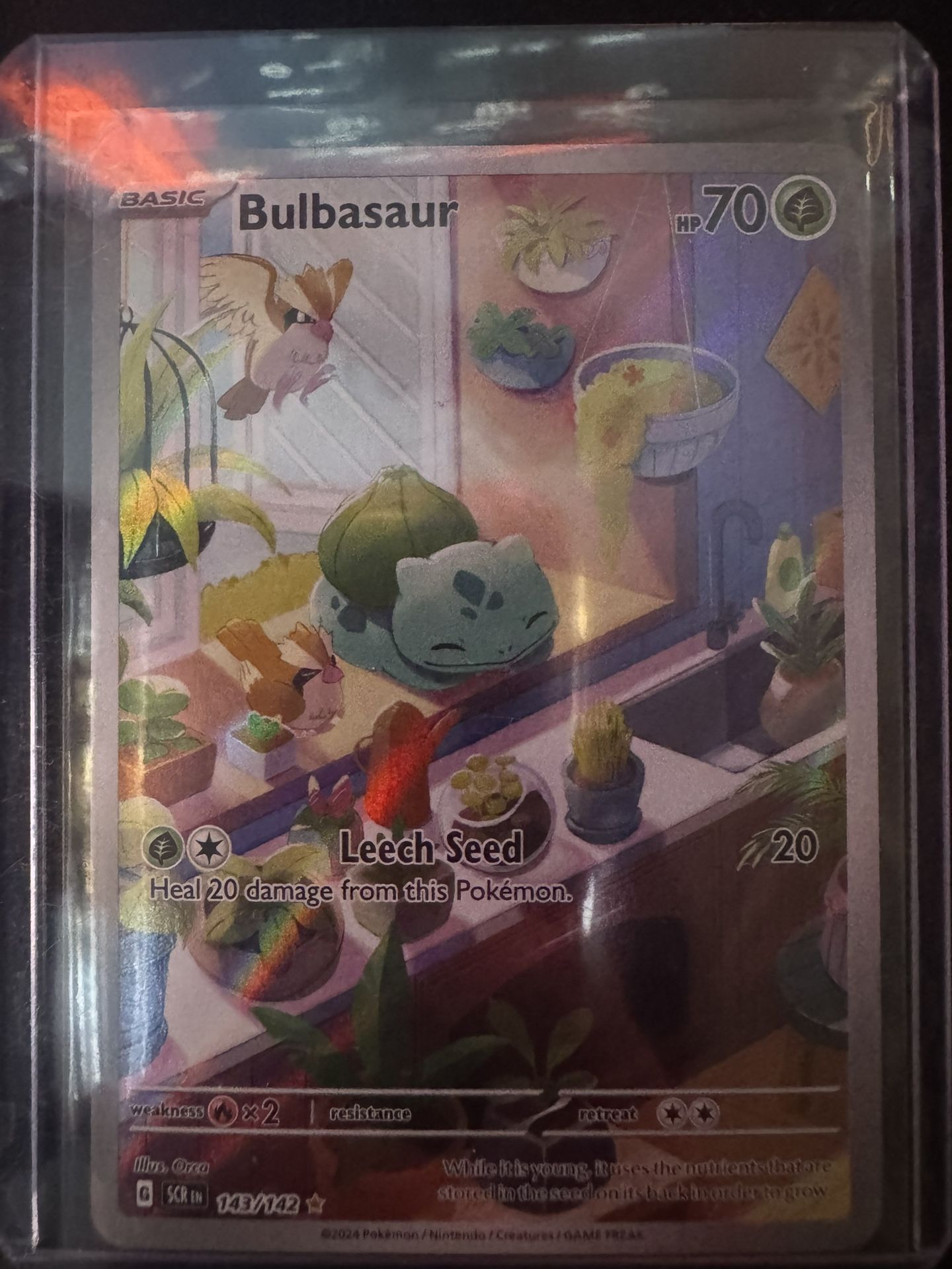 Bulbasaur Illustration Rare Pokemon Card