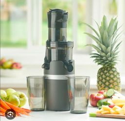 Vida Cold Press Slow Juicer extractor