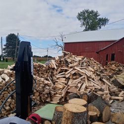 Firewood