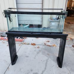 Aquarium Fish Tank