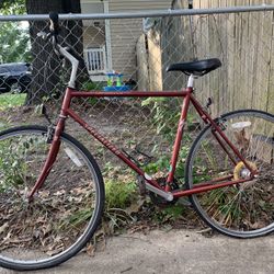 Crossroads Specialist Bicycle 